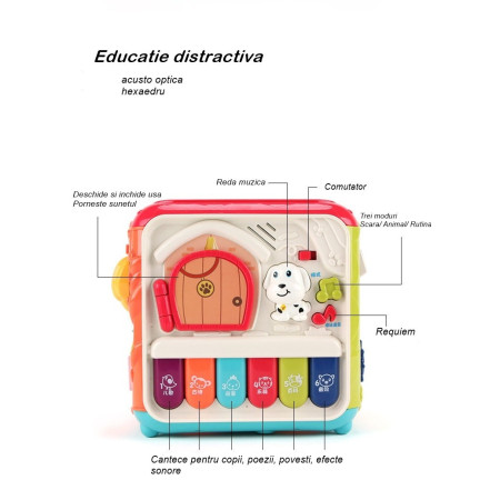 Cub activitati, 6 in 1, Flippy