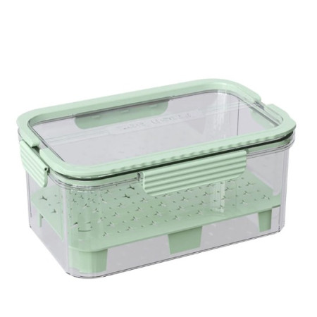 Cutie pentru Depozitare Alimente, Flippy, de Uz Casnic, 2 Compartimente, Zona pentru Gheata, Mentinere Fresh, cu Maner, Material PET, 23x15x10.8 cm, Verde