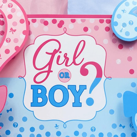 Banner pentru Petrecere, Flippy, Model Girl or Boy, Tematica Gender Reveal, 150 x 100 cm, Albastru Roz