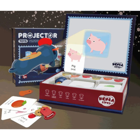 Set Jucarie Educativa, Flippy, Proiector Tip Lanterna Pentru Copii, 6 Teme, 48 de Imagini, Cutie Depozitare, +3 ani, Albastru