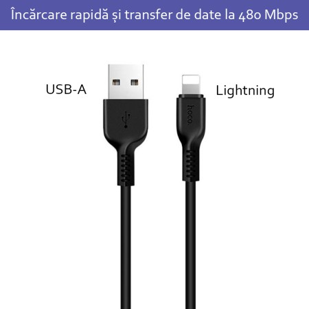 Cablu de Date USB-A la Lightning 10W, 2A, 2m - Hoco Flash (X20) - Black