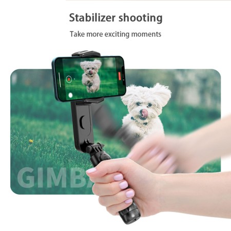 Gimbal Mini Selfie Stick cu LED si Trepied, 70cm - Techsuit (Q09) - Black