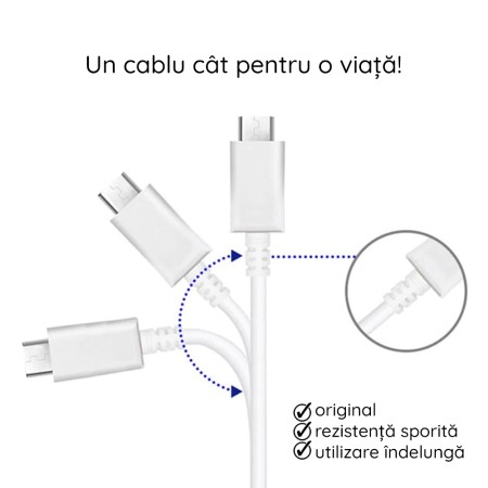 Cablu de Date Type-C la Type-C Fast Charging 3A, 1.8m - Samsung (EP-DX310JWE) - White (Bulk Packing)